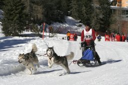 San Bernardino 2008
